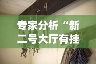专家分析“新二号大厅有挂吗[分享装挂详细步骤]