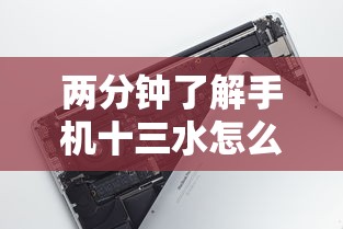 两分钟了解手机十三水怎么拿好牌”科技辅助神器手机版