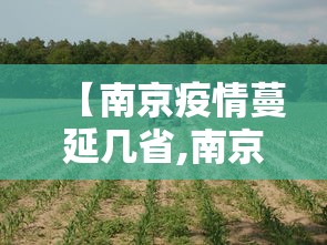 强力推荐“打红中麻将老是输钱要怎样才能赢	”附开挂脚本详细步骤