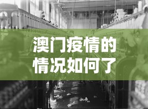玩家最新攻略“乐山幺鸡麻将打法技巧”真的有挂
