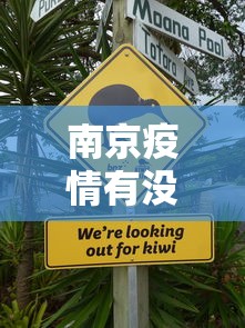 教程更新!“金华新佛手十三道挂”开挂(透视)辅助教程
