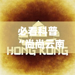 必看科普“尚尚云南麻将如何破解”(透视挂)详细用法教程