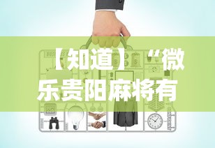 【知道】“微乐贵阳麻将有没有挂”(必备工具)辅助教学