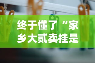 终于懂了“家乡大贰卖挂是真的吗”作弊挂(辅助外挂+