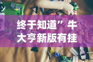 终于知道”牛大亨新版有挂吗?_游戏_玩家_工具