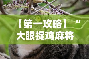 【第一攻略】“大眼捉鸡麻将技巧”原来有神器下载