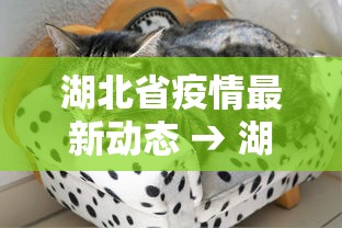 今日重磅消息“微乐内蒙麻将怎么开挂”(确实真的有挂)