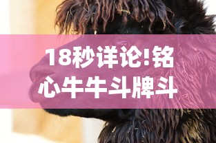 18秒详论!铭心牛牛斗牌斗牛中心究竟有挂”开挂(透视)辅助教程