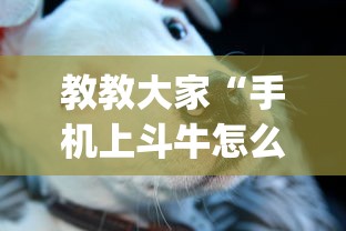 教教大家“手机上斗牛怎么才可以开挂!专业师傅带你一起了解(确实有挂) 教教大家“手机上斗牛怎么才可以开挂!专业师傅带你一起了解(确实有挂)