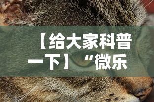 【给大家科普一下】“微乐辽宁麻将能不能开挂”开挂科技辅助神器手机