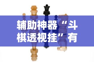 辅助神器“斗棋透视挂”有挂详细开挂教程