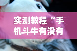 实测教程“手机斗牛有没有猫腻(真的有挂) 实测教程“手机斗牛有没有猫腻(真的有挂)