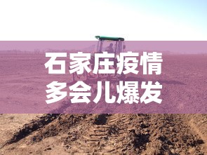 [教程经验]“微乐陕西麻将怎么提高胜率”附开挂脚本详细步骤