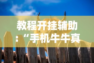 教程开挂辅助:“手机牛牛真的有挂吗”详细开挂玩法