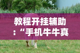 教程开挂辅助:“手机牛牛真的有挂吗	”详细开挂玩法