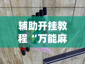 辅助开挂教程“万能麻将游戏开挂器	”(透视挂)详细用法教程