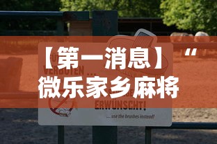 【第一消息】“微乐家乡麻将有什么技巧吗”真可以装挂