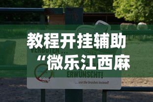 教程开挂辅助“微乐江西麻将怎样开挂”(透视)开挂详细教程