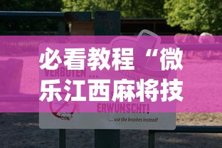 必看教程“微乐江西麻将技巧”(透视)辅助透视教程