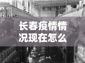 今日教程“微乐捉鸡麻将万能开挂器免费”真可以装挂