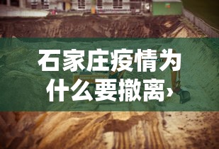 必看教程“微乐陕西麻将怎么提高胜率”真实开挂技巧分享