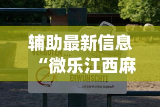 辅助最新信息“微乐江西麻将有挂吗	”(透视)开挂详细教程