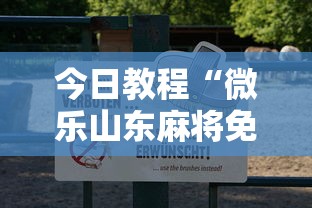 今日教程“微乐山东麻将免费挂”附透视挂详细教程 