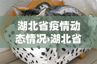 必看科普“阳泉胡乐麻将有挂吗”开挂安装教程