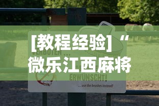[教程经验]“微乐江西麻将怎么赢	”最新辅助详细教程