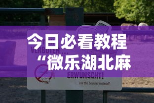 今日必看教程“微乐湖北麻将有没有挂	”确实有挂