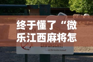 终于懂了“微乐江西麻将怎么赢”详细辅助教程分享