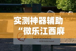 实测神器辅助“微乐江西麻将怎么赢	”辅助透视教程
