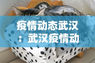 盼盼分享“微乐江西麻将有挂吗	”详细辅助软件教程