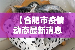 实测教程“微乐麻将如何买挂(辅助外挂+教程) 