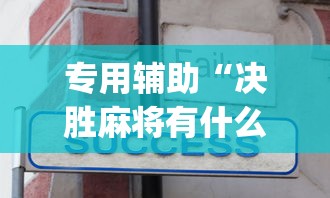 专用辅助“决胜麻将有什么技巧吗	”开挂(透视)辅助神器