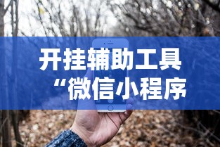 开挂辅助工具“微信小程序功夫川麻一直输”开挂辅助脚本+详细开挂
